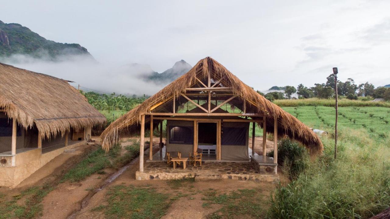 Wild Glamping Gal Oya Hotel Galgamuwa  Eksteriør billede